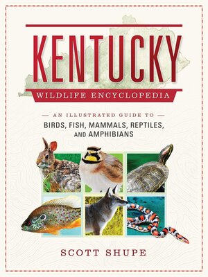 cover image of Kentucky Wildlife Encyclopedia: an Illustrated Guide to Birds, Fish, Mammals, Reptiles, and Amphibians